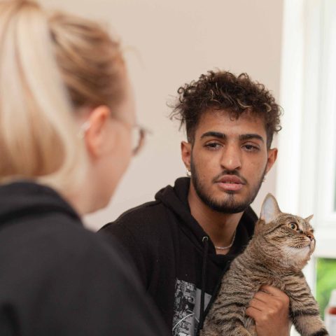 Services in the community